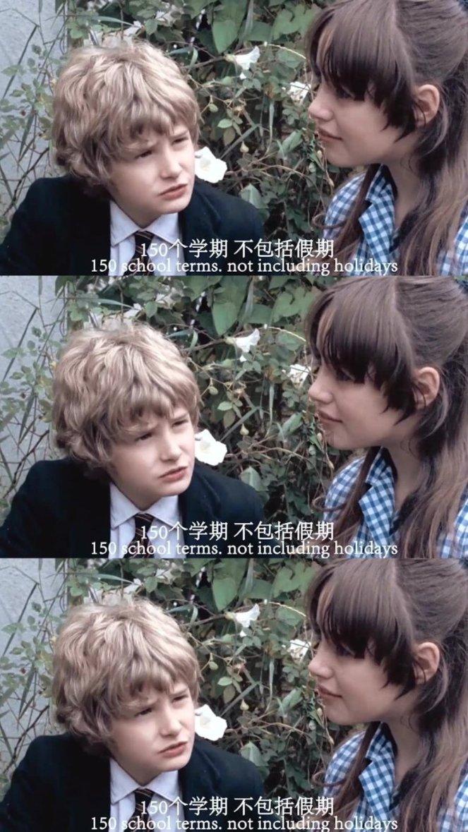 僵尸顶顶乐