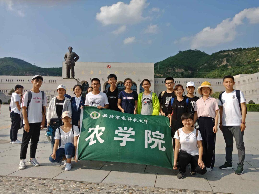 救援外星小怪
